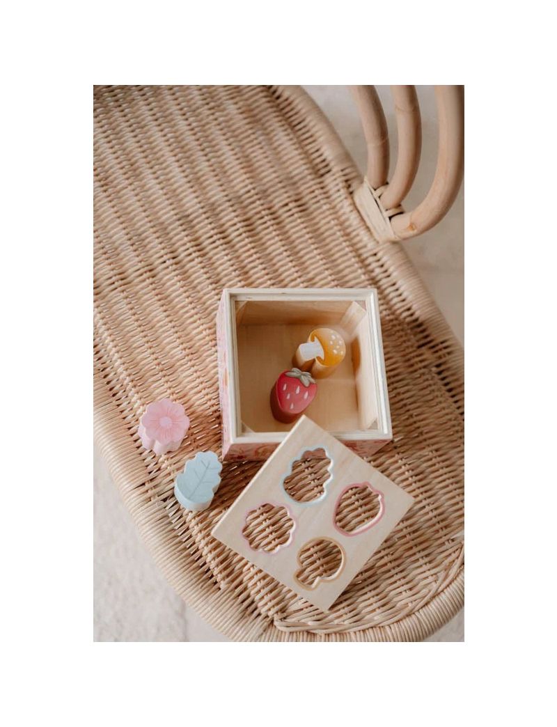 Caixa de Formas de Encaixe – Fairy Garden