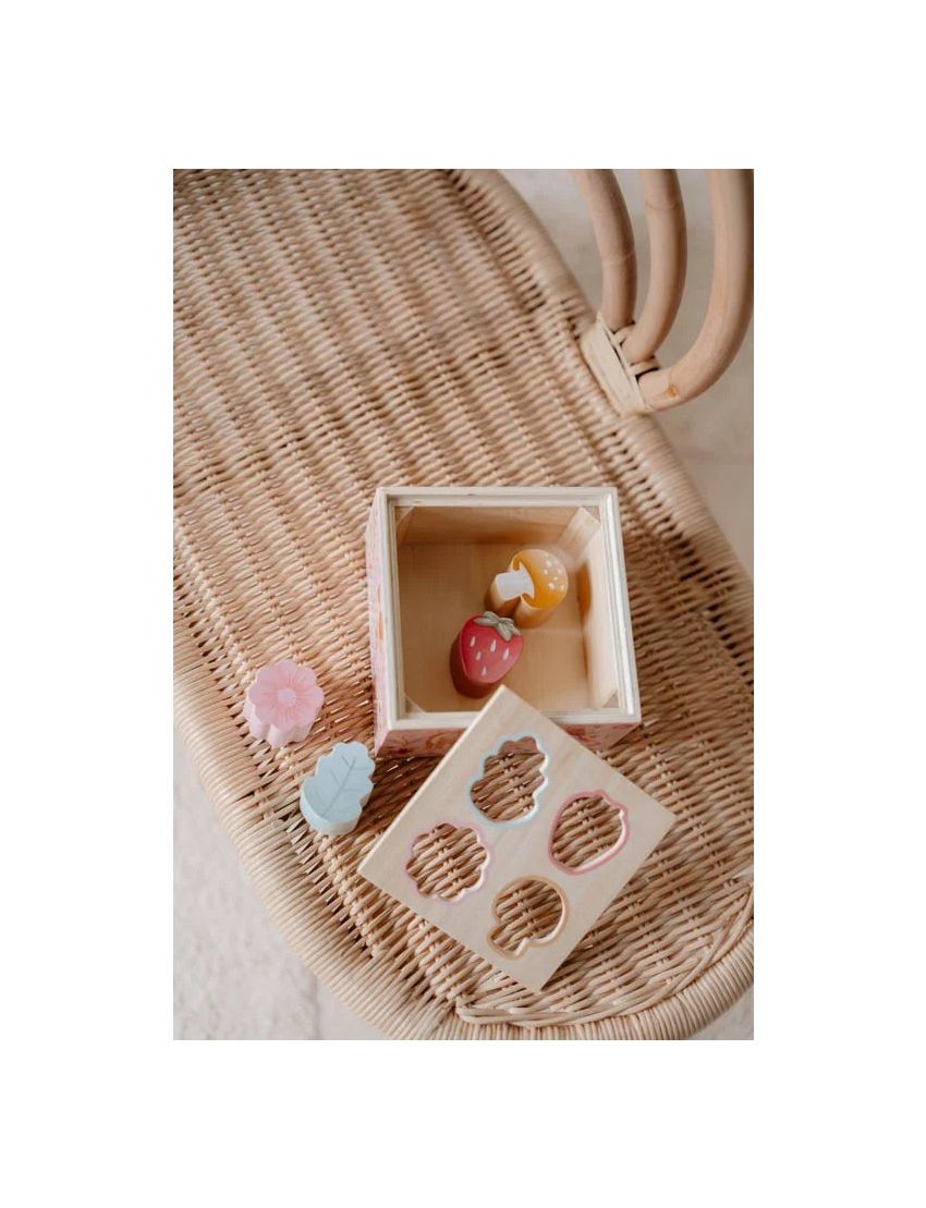 Caixa de Formas de Encaixe – Fairy Garden