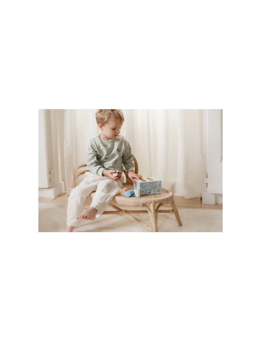 Caixa de Encaixe de Formas – Forest Friends