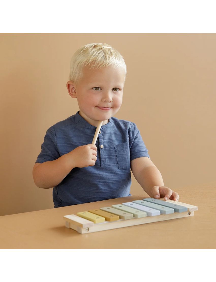 Xilofone em Madeira Little Dutch Azul